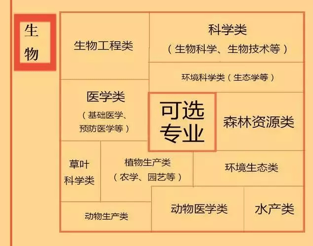 专业|高中各门课程对应大学专业实用盘点如何根据学科特长选专业