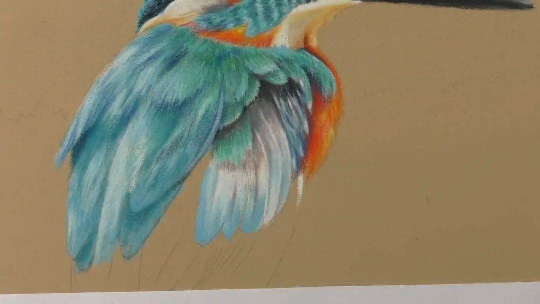 彩铅结合色粉有色卡纸画写实翠鸟