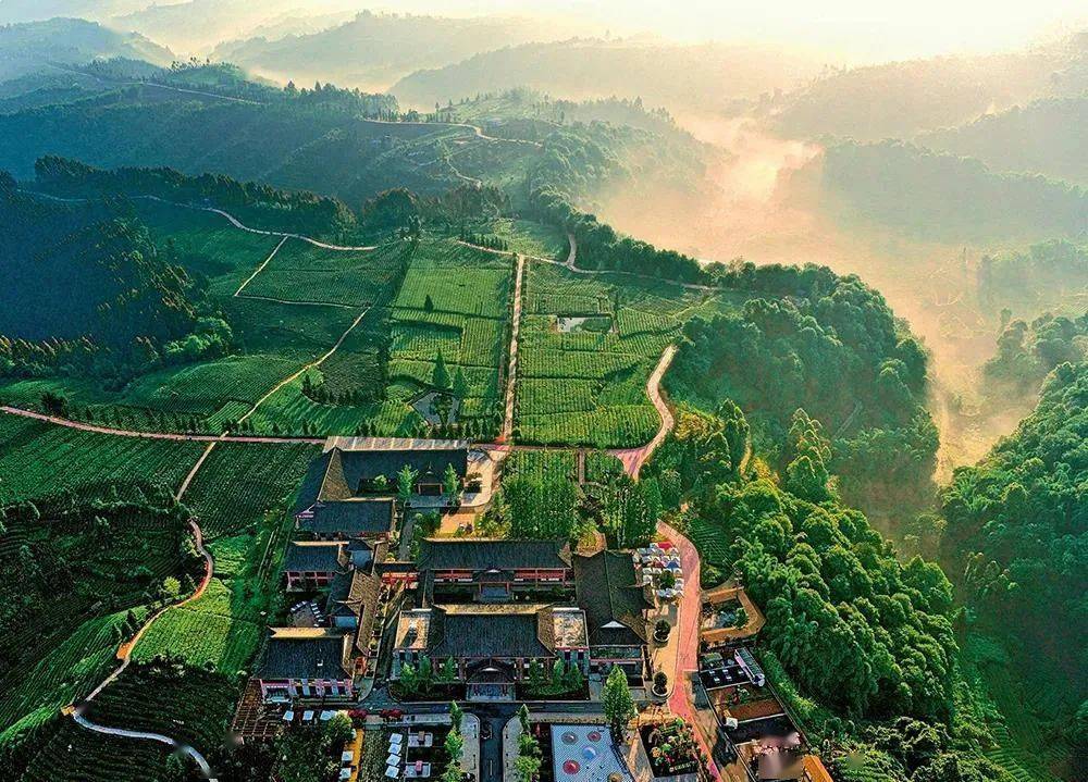 △名山区牛碾坪茶旅综合体