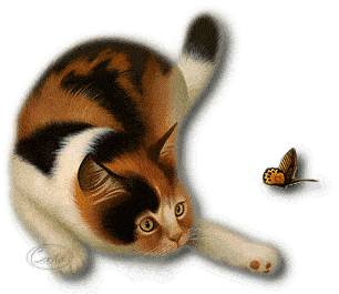 搞笑的聊天图片