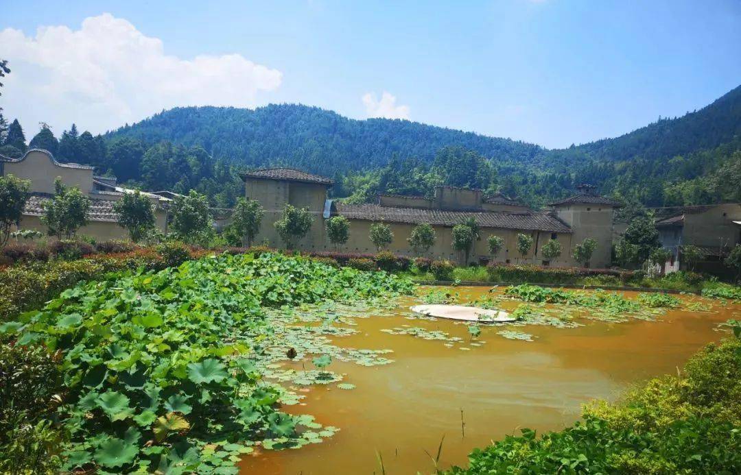 清新夏日,一路打卡古田美景_吉巷乡