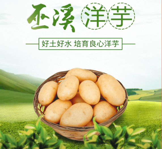 进入巴味渝珍商城首页,即可购买,还有更多优质农产品等你来选