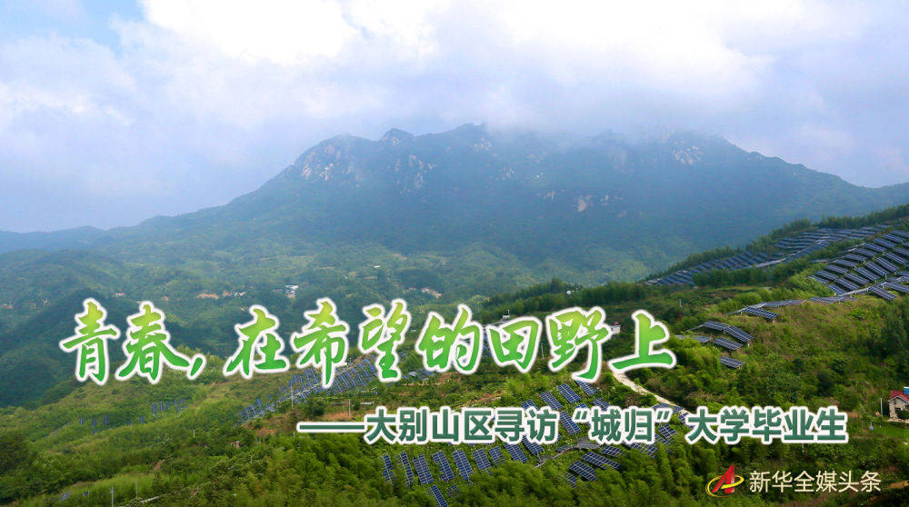 湾村|这群小家伙，真不赖！