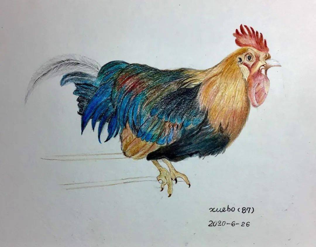 我画自己的属相十字绣作品和树叶也都可以扫描感动过后,便是思考.