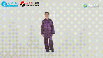 陈氏太极拳精要十八式动图全解,难得一见的版本!