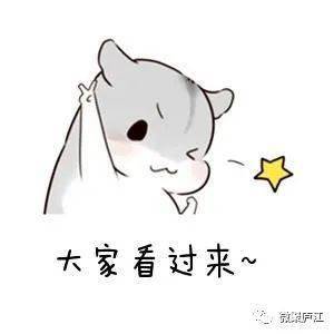 2020年庐江小学排名_速看!2020年庐江教师招聘总成绩出了!