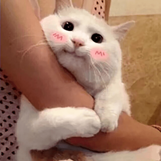长见识了._表情
