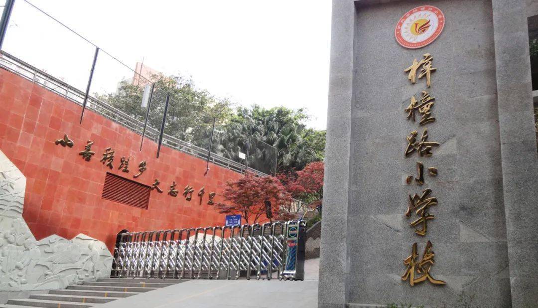 0 3泸州师范附属小学0 4泸州市广营路小学0 5泸州市实验小学0 6泸州