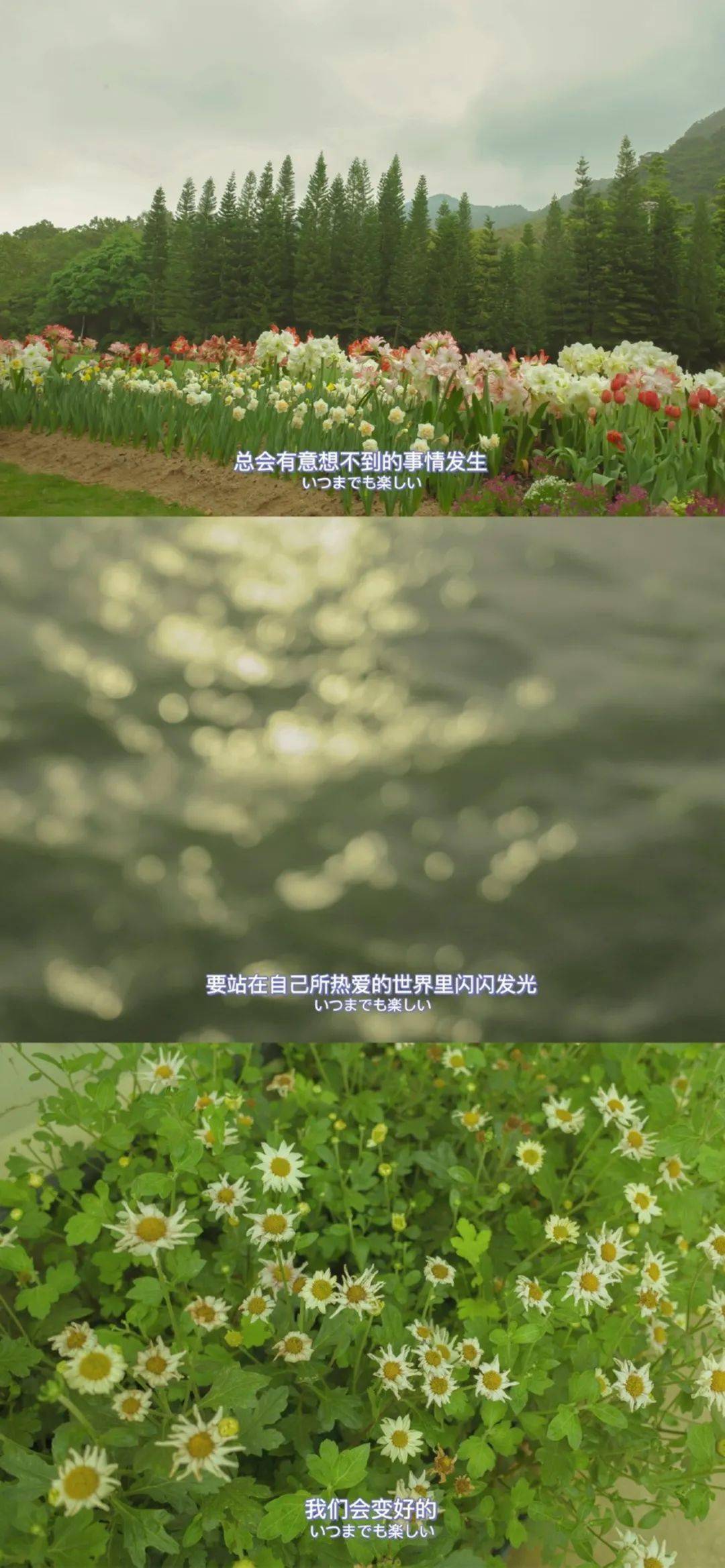 ed45000d79c9465691cc924a49f77fdd.jpeg