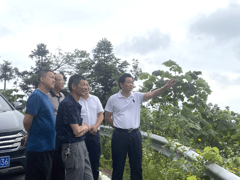 市林业局刘海云一行到洪家山森林公园督促安全生产工作