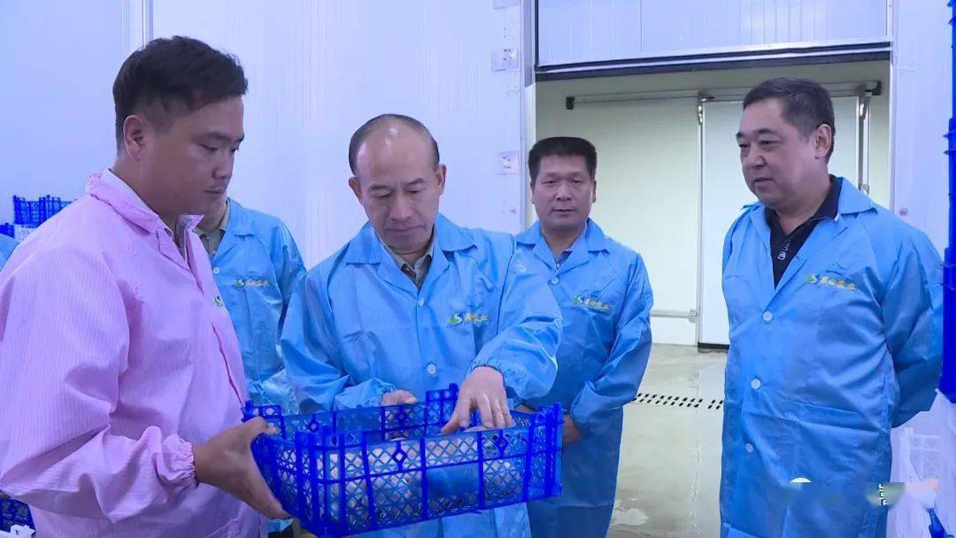 李杏到嵩县调研脱贫攻坚 产业发展等工作