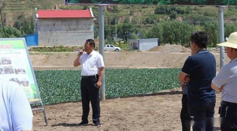 县政协主席马天英一行到兴隆镇视察脱贫攻坚工作_手机搜狐网