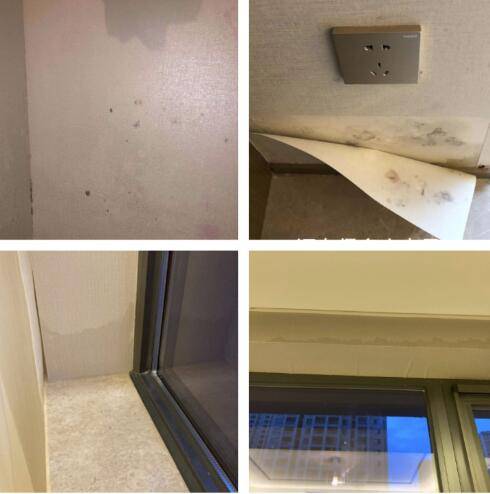 楼梯|楼里下大雨、电梯楼梯成瀑布、车库漏水，业主：我买了个“水帘洞”？