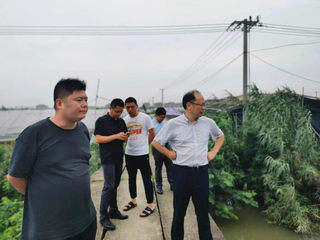 葛寒敏指出要以水质为抓手,积极推进水处理设施建设