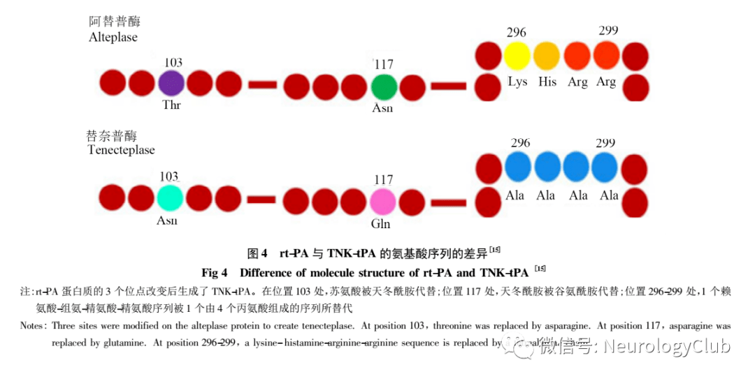 神经综述：替奈普酶治疗急性缺血性脑卒中_rtPA