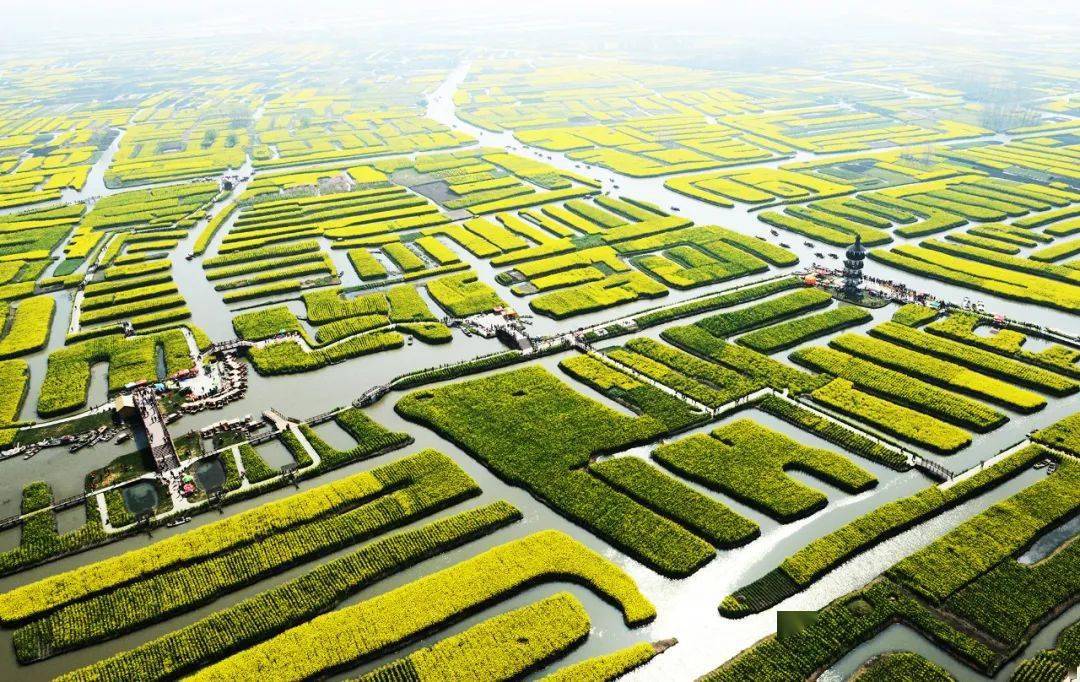 沪通泰州在宝藏城市兴化大家都在这么玩