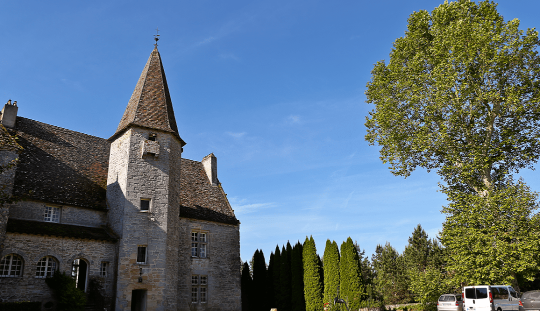 焕新|醇香绽放！露嘉堡晨光红葡萄酒焕新上市