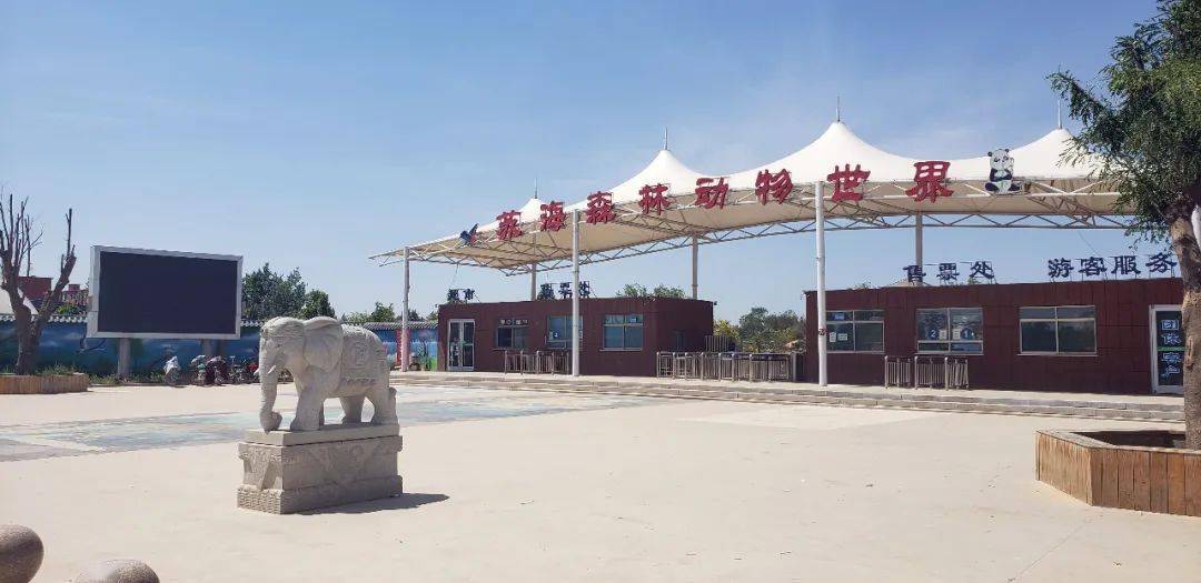 开发区 聊城滨河野生动物园