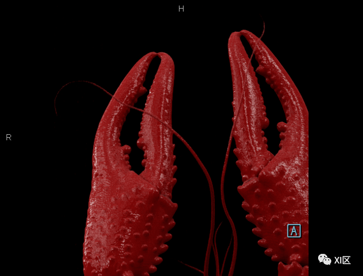 使用uhr模式和先进的重建技术 最大程度保留了小龙虾的解剖细节 不禁