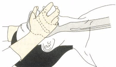 a375bbd81daa428882b275c183442717.png