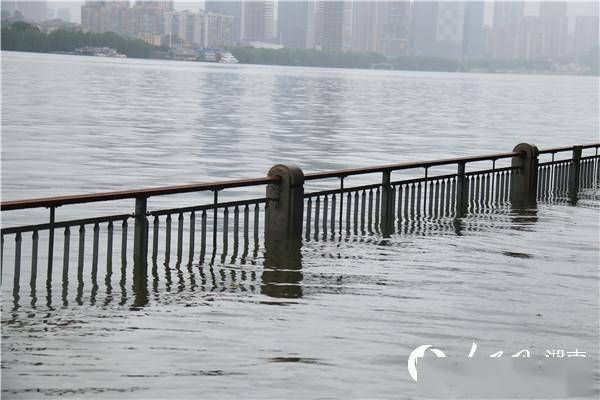 湘江水位上涨 橘子洲景区亲水步道被淹