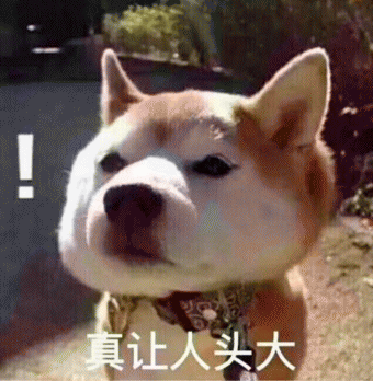 321454e683c5406cadf0ac630cdcec8b.png