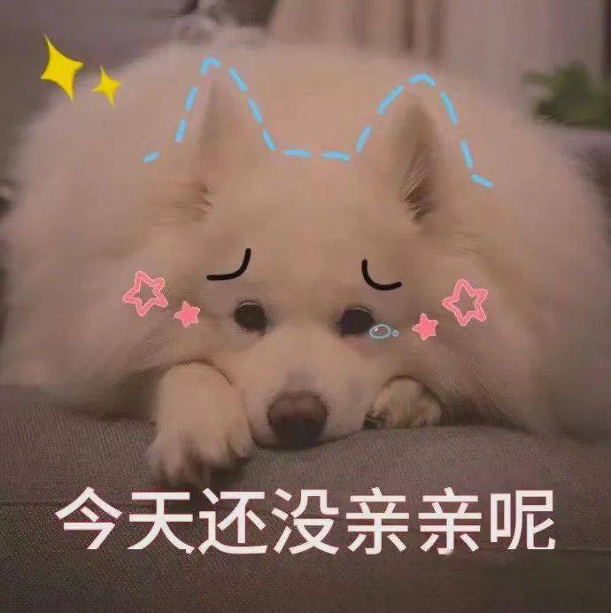 聊天斗图表情包 i 我快忍不住了!