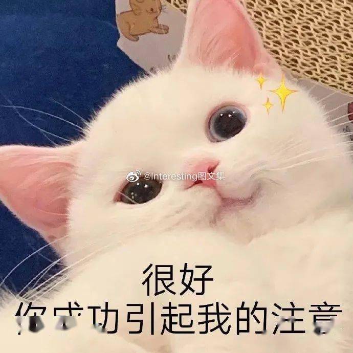 【爆笑段子】哪里的方言最魔鬼?完全听不懂室友在说什么.