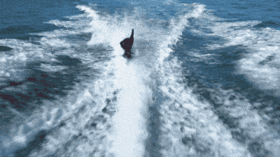 细菌|石墨烯、活细菌、每天变色、任意变形……装上黑科技的衣服究竟能玩出多少花样?