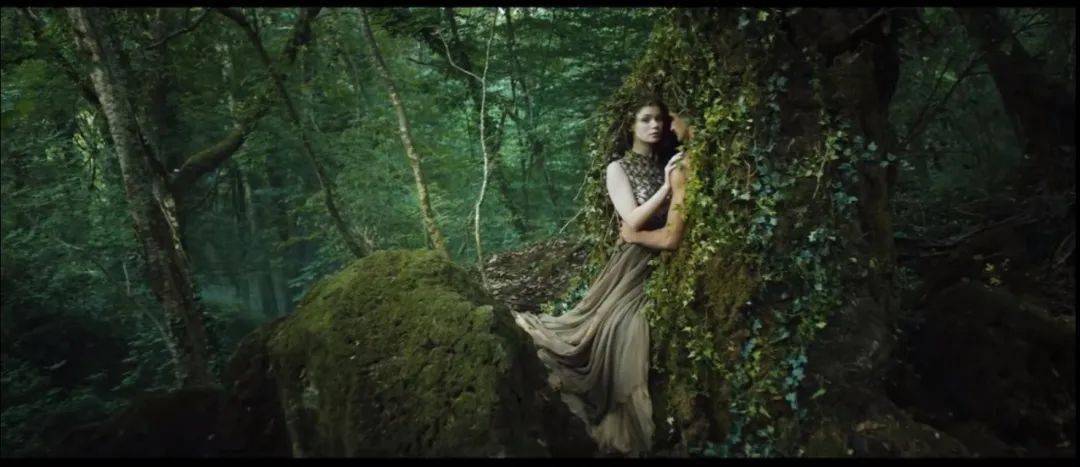 肌肤|护肤 | 走，带你去看DIOR高订系列童话秀