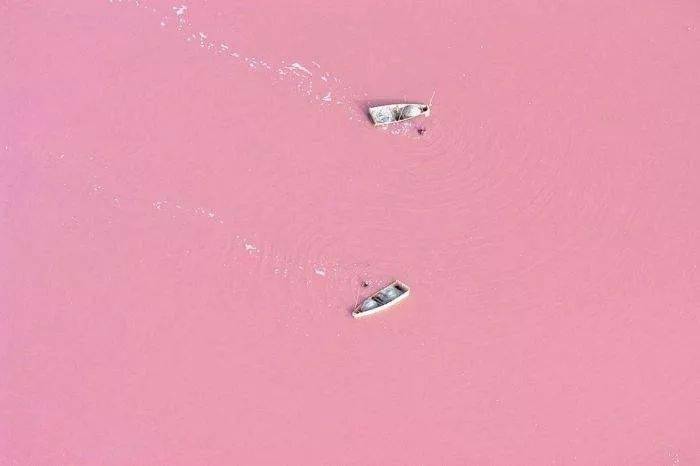 细菌|石墨烯、活细菌、每天变色、任意变形……装上黑科技的衣服究竟能玩出多少花样?