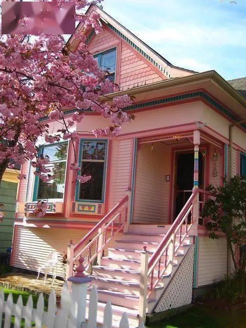 颜色|为什么年龄越大，越喜欢粉色？