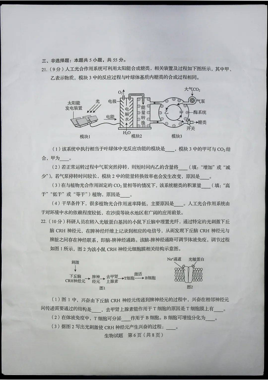 考试题|2020山东高考试题+答案公布（最全版），赶紧来估分！