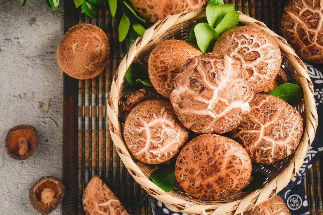 五花肉|介绍一下这位“饭”圈好朋友今天