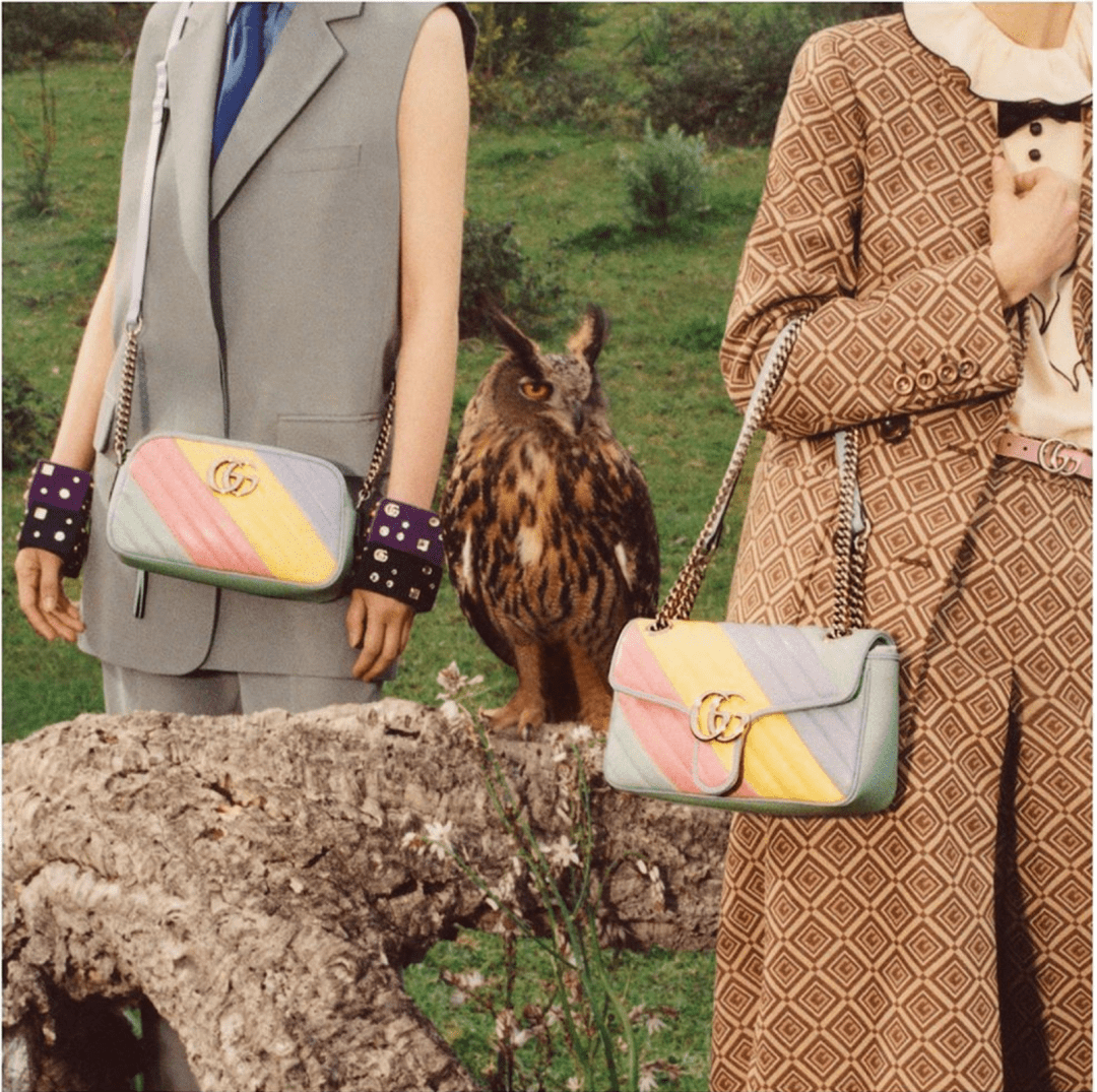 大牌|大牌新包 | 今年的IT BAG都在这里了!