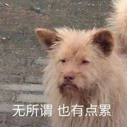 工作|放 假 通 知 ！