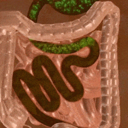 大妈|2个月狂甩56斤！160斤韩国大妈变全民女神！秘诀竟然是吃它？