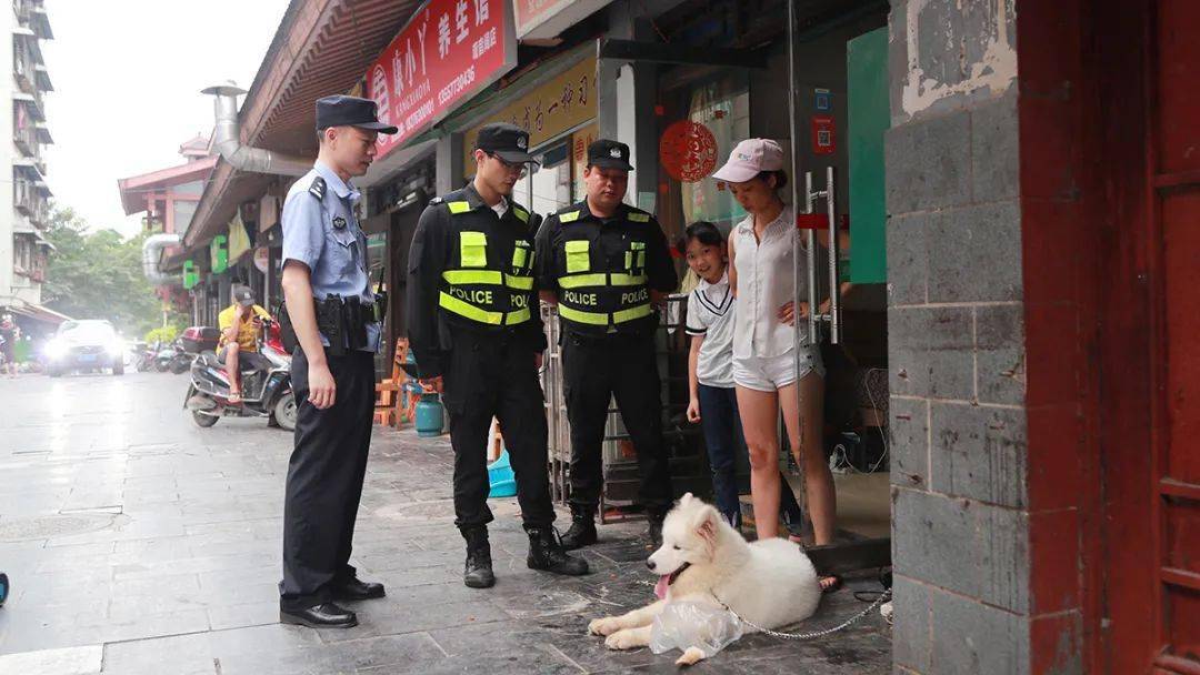 龙胜人口分局_龙胜二维码图片(2)
