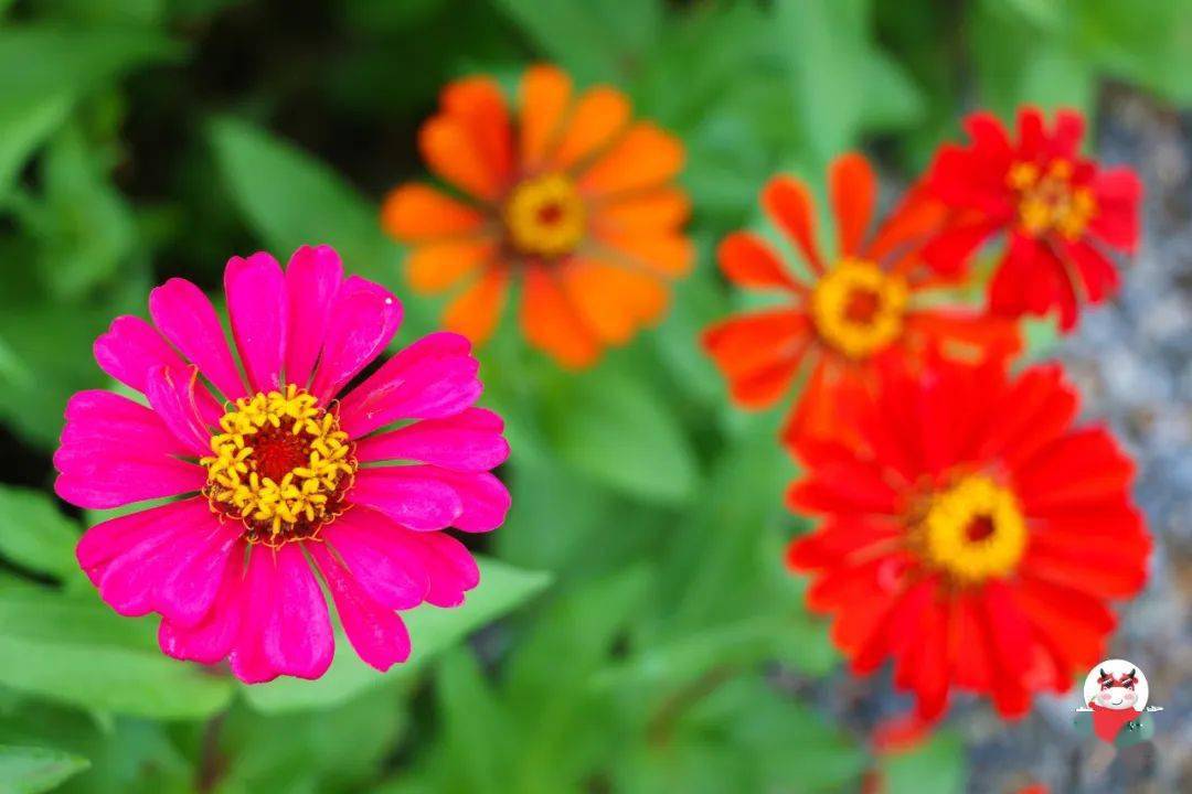 d58eeda4e7e241958aff652ddb840a20.jpeg