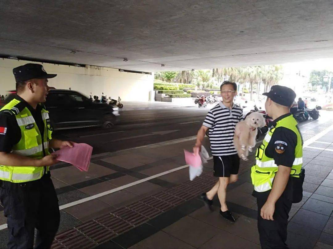 龙胜人口分局_龙胜二维码图片(2)