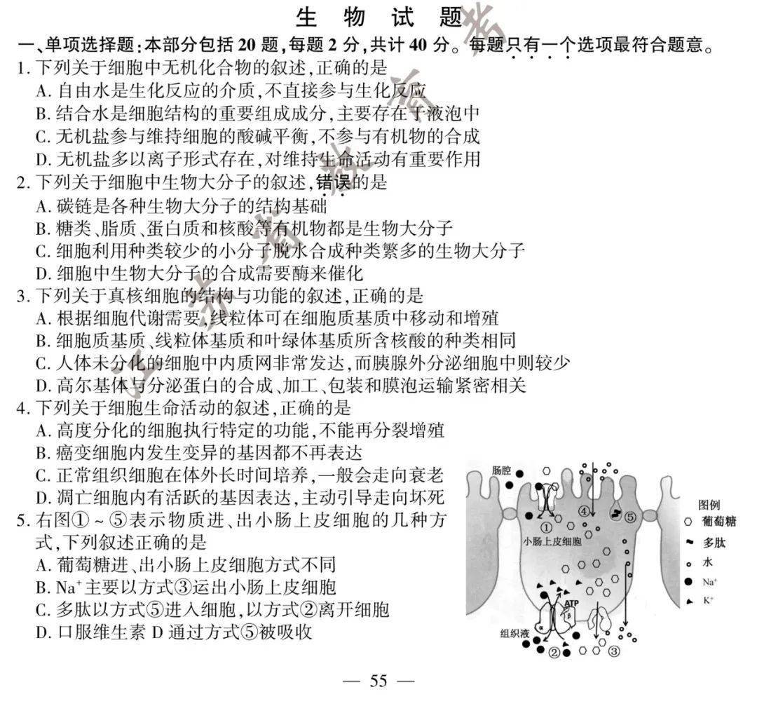 9b3ccdc435874f27a045c8b6fa0d5c80.jpeg
