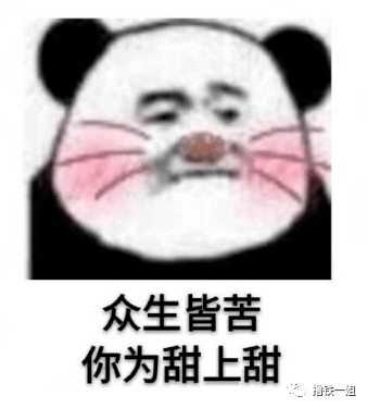 钟丽缇|《浪姐》全员身材翻车，张雨绮、钟丽缇难道都是饿瘦的吗？太水了！