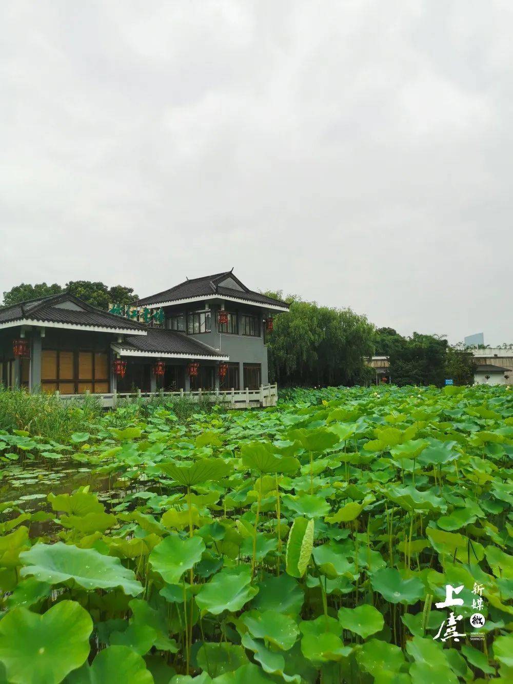 虞城县多少人口_虞城县地图