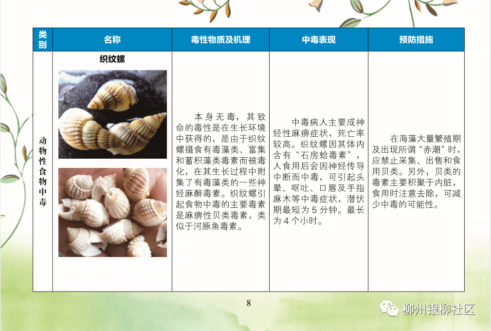 bbba5e7bfd164fc8a0c062a1f6a557a4.png