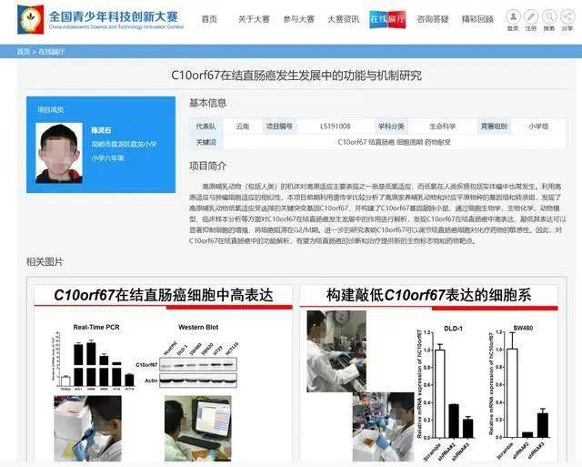 云南六年级小学生完成博士同等难度研究，疑似“学二代”涉嫌造假