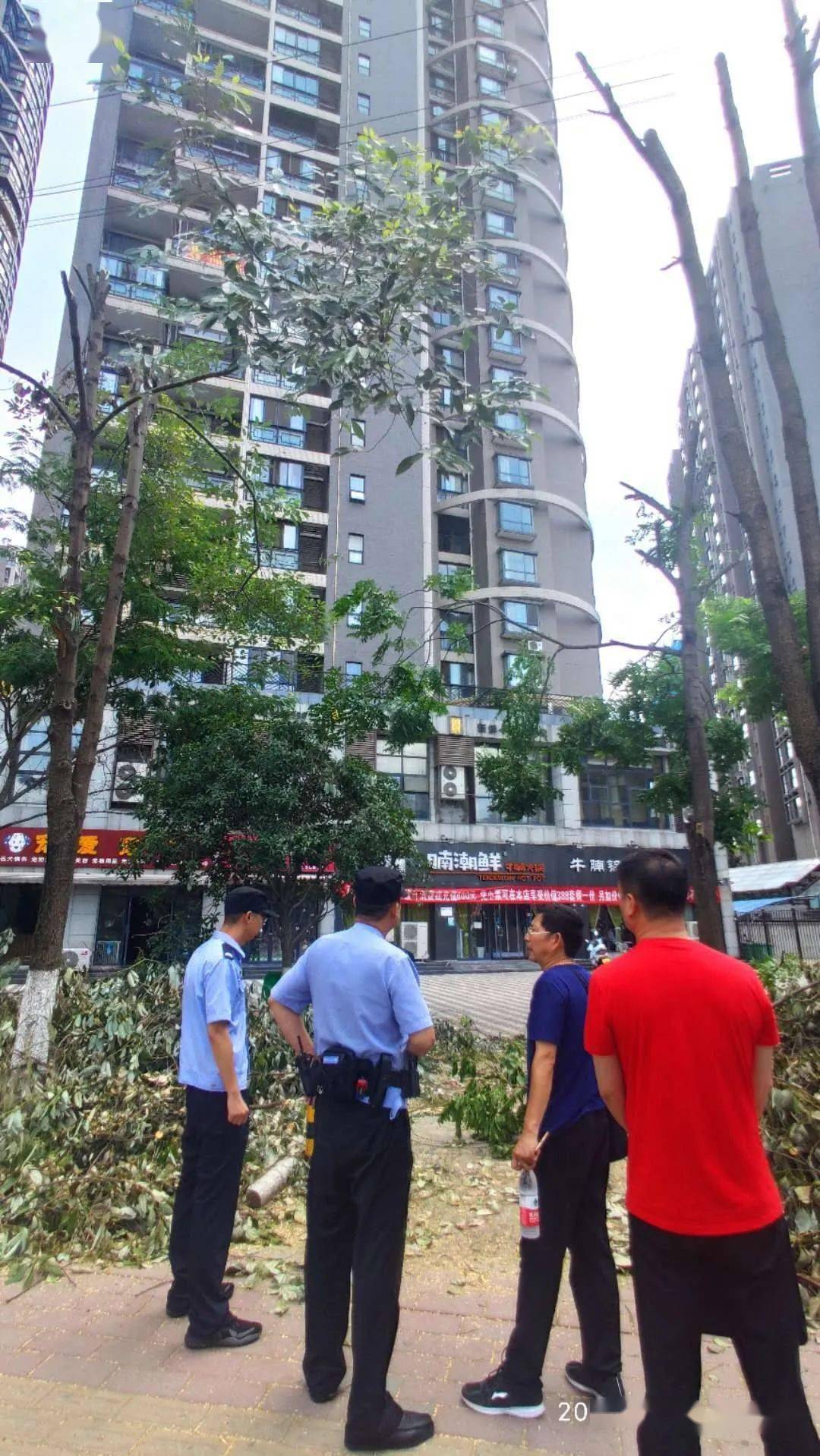 汉中人口多嘛_汉中人口密度图(2)