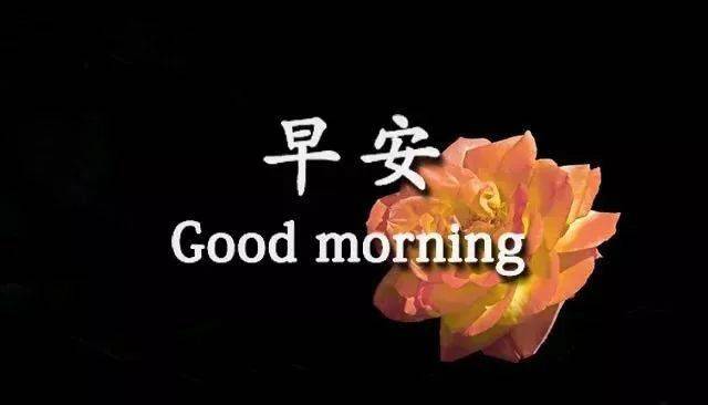 2020微信早上好温暖问候语表情包图片精选,非常精美的