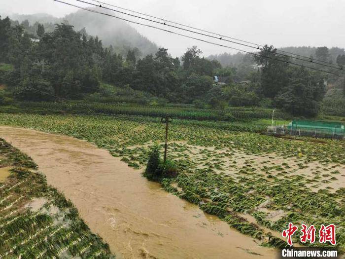 古蔺人口_古蔺麻辣鸡,大山深处的美味(3)