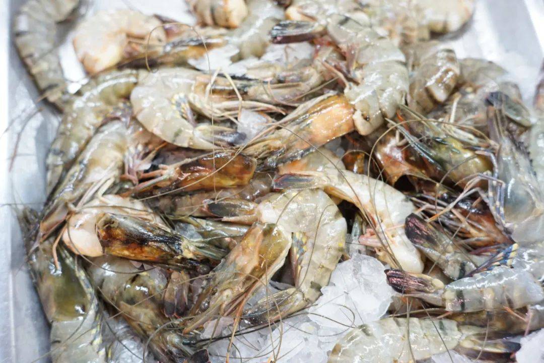 进口|你吃的南美白虾，大部分其实是国产货