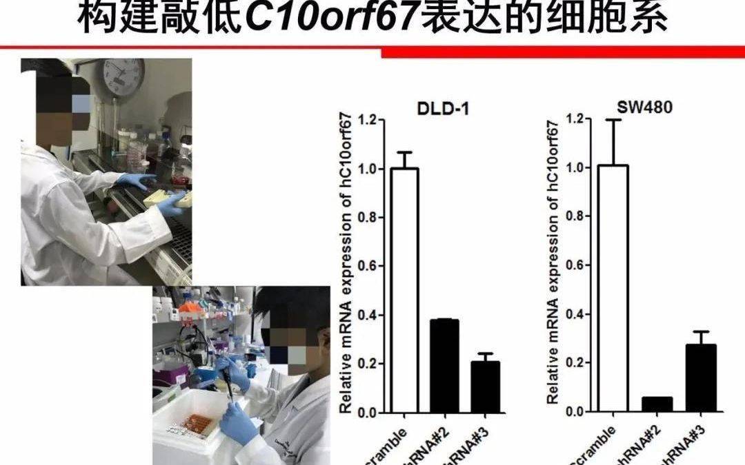 研究|青少年科技创新不能“家长当裁缝，孩子穿新衣”